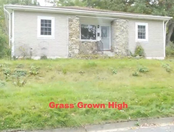 Look for grass grown high when looking for property.